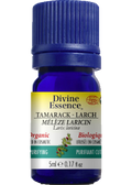 Tamarack Oil (Larch, Organic) - 5ml