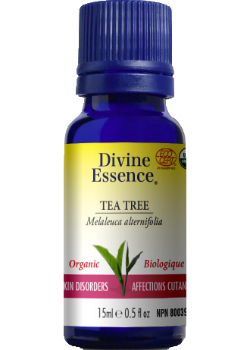 Tea Tree Oil (Organic) - 15ml