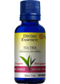 Tea Tree Oil (Organic) - 30ml