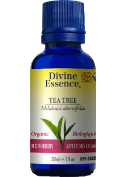 Tea Tree Oil (Organic) - 30ml