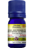 Thyme Oil (Red Thymol, Organic) - 5ml