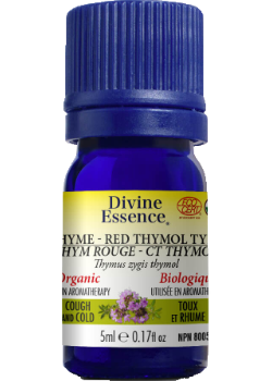 Thyme Oil (Red Thymol, Organic) - 5ml