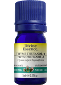 Thyme Oil (Thuyanol-4) - 5ml