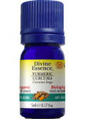 Turmeric Oil (Curcuma, Organic) - 5ml