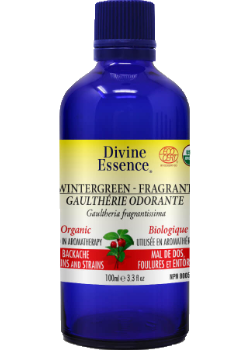 Wintergreen Oil (Fragrant, Organic) - 100ml