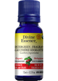 Wintergreen Oil (Fragrant, Organic) - 15ml