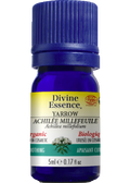 Yarrow Oil (Organic) - 5ml
