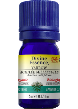 Yarrow Oil (Organic) - 5ml