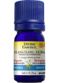 Ylang Ylang Oil (Extra Premium, Organic) - 5ml