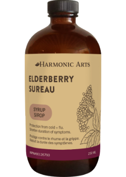 Elderberry Syrup - 250ml