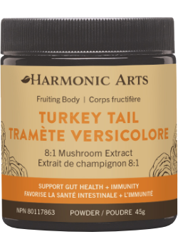 Turkey Tail Concentrated Mushroom Powder - 45g