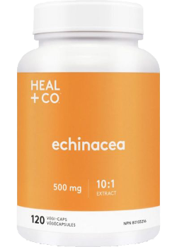 Echinacea 500mg (10:1) - 120 V-Caps