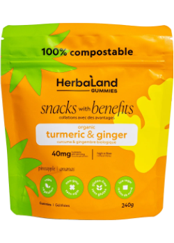 Ginger Snack Healthy Packet (Pineapple Ginger & Turmeric) - 240g
