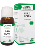 Alnus Incana (Gemmo) - 60ml