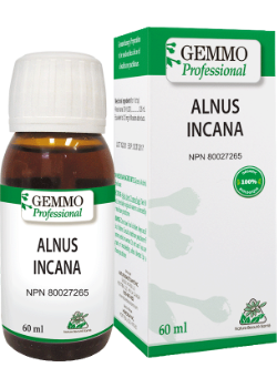 Alnus Incana (Gemmo) - 60ml