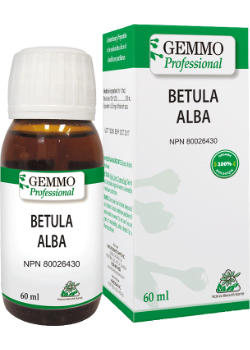 Betula Alba (Gemmo) - 60ml