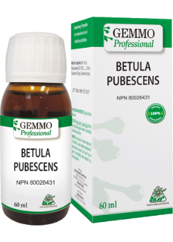 Betula Pubescens (Gemmo) - 60ml