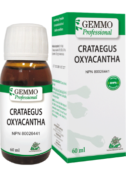 Crataegus Oxyacantha (Gemmo) - 60ml