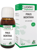 Pinus Montana (Gemmo) - 60ml