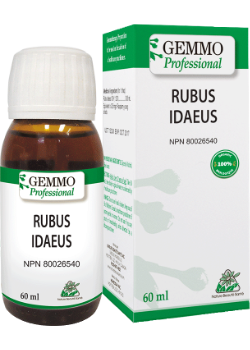 Rubus Idaeus (Gemmo) - 60ml