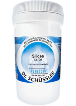 Shuessler Silicea #12 - 125 Tabs
