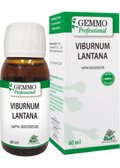 Viburnum Lantana (Gemmo) - 60ml