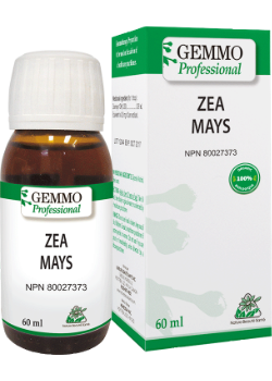 Zea Mays (Gemmo) - 60ml