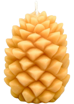 Pure Beeswax Candle Ornamental Ponderosa Pine Cone (Natural) - 4 1/4 x 3 Inches
