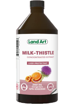 Milk Thistle (Orange Bark) - 250ml