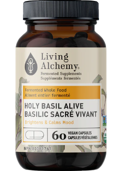 Holy Basil Alive - 60 V-Caps