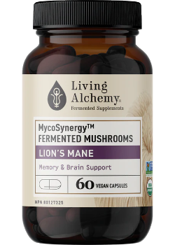 Mycosynergy Fermented Mushrooms Lion's Mane - 60 V-Caps