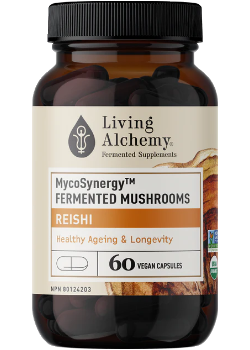 Mycosynergy Fermented Mushrooms Reishi - 60 V-Caps
