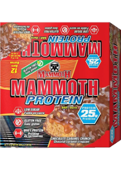 Mammoth Protein Bar (Chocolate Caramel) - 12 x 75g