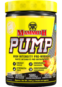 Mammoth Pump (Pineapple Mango) - 540g