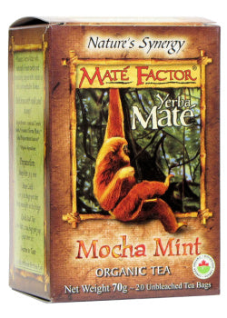 Organic Mate Tea (Mocha Mint) - 20 Tea Bags - Mate Factors