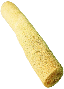 Loofah (Natural 14-16") - 1 Loofah