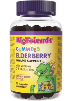 Big Friends Elderberry Immune Support (Natural Berry) - 60 Gummies