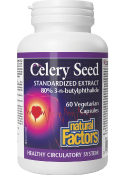 Celery Seed Extract (80% 3nB) - 60 V-Caps