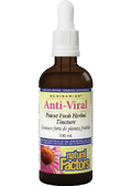 Echinamide Anti-Viral Potent Herb Tincture - 100ml + BONUS