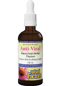 Echinamide Anti-Viral Potent Herb Tincture - 100ml + BONUS