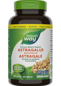 Astragalus Root 470mg - 180 Caps