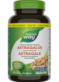 Astragalus Root 470mg - 180 Caps