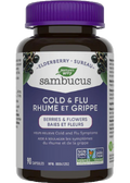 Sambucus Elderberry Cold & Flu - 90 Caps