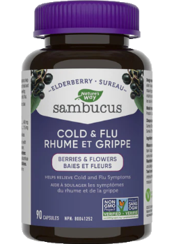 Sambucus Elderberry Cold & Flu - 90 Caps