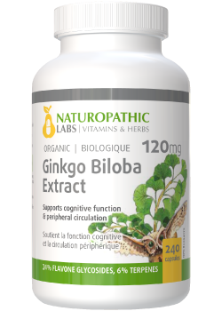 Ginkgo Biloba Double Strength (Organic) 120mg - 240 + 60 Caps FREE