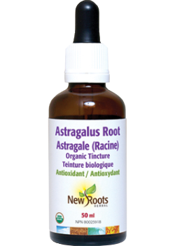 Astragalus Root (Certified Organic) - 50ml