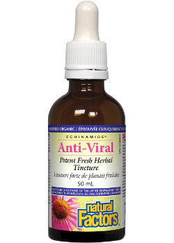 Echinamide Anti-Viral Potent Fresh Herbal Tincture - 50ml