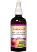 Echinamide Anti-Cold Echinacea - 100ml + BONUS