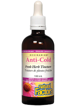 Echinamide Anti-Cold Echinacea - 100ml + BONUS