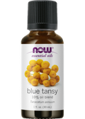 Blue Tansy Oil - 30ml